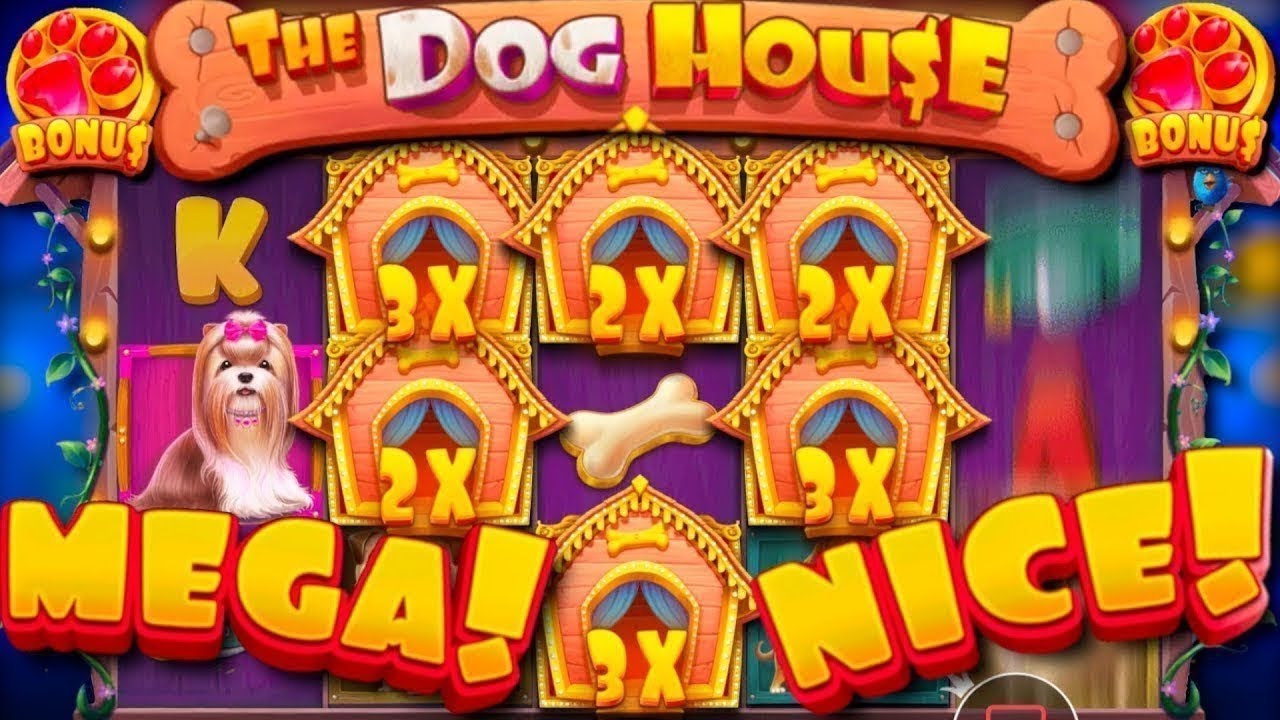Dog House casino